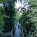 Filbert Steps in San Francisco, California city
