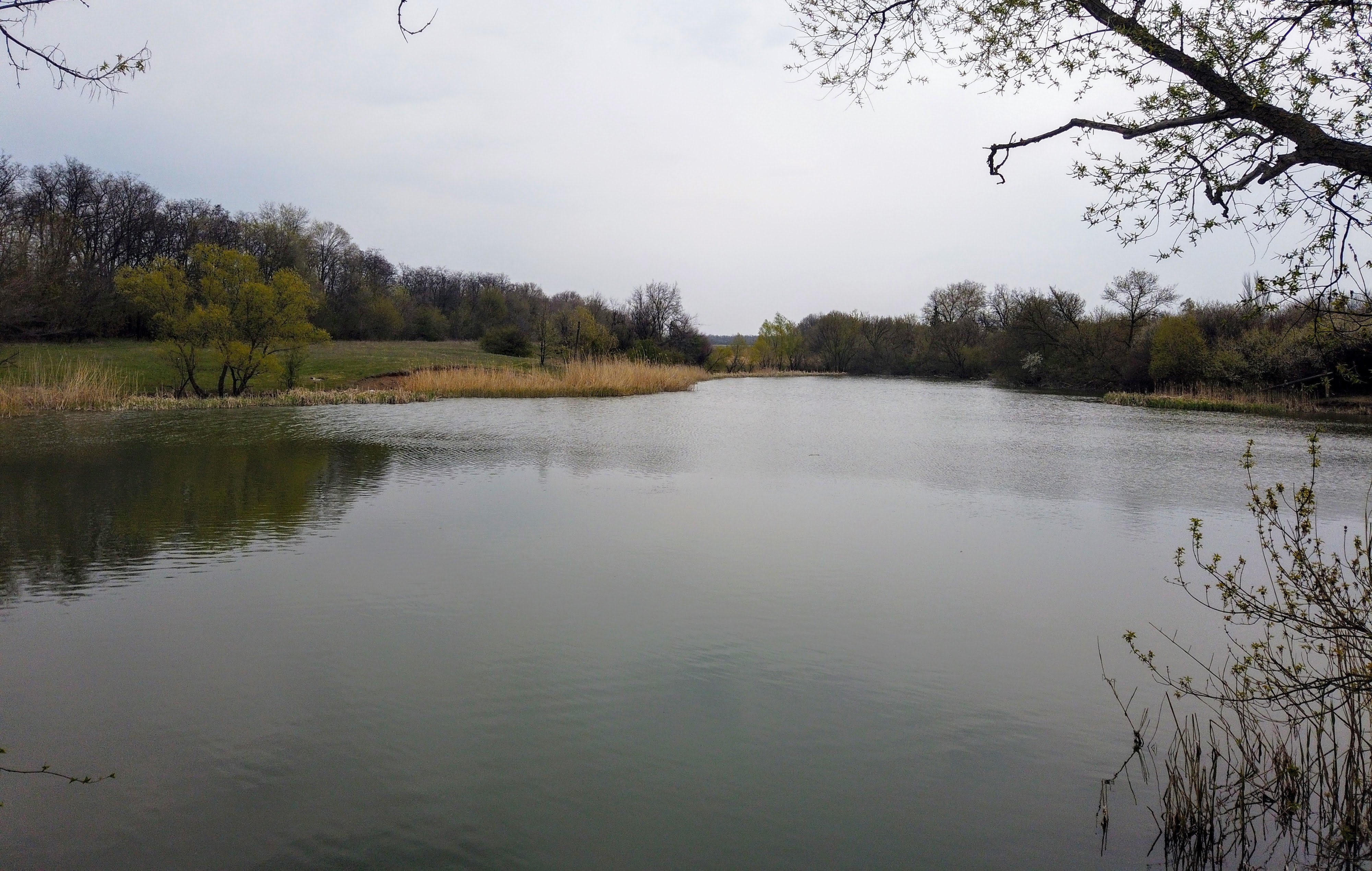 Pond