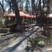Летняя площадка кафе-бара «Самовар» в городе Полтава