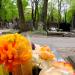 The grave of Konstanty Kostecki in Warsaw city