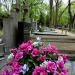 Quarter 278 in Warsaw city