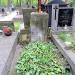 The grave of Józefa Słupecka in Warsaw city