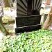 The grave of Tomasz Zembowicz in Warsaw city