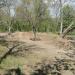 MTB Dirt «Дубки» в городе Николаев