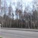 Заросшее болото в городе Москва
