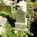The grave of Franio Dydaś in Warsaw city