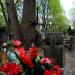 Quarter 273 in Warsaw city