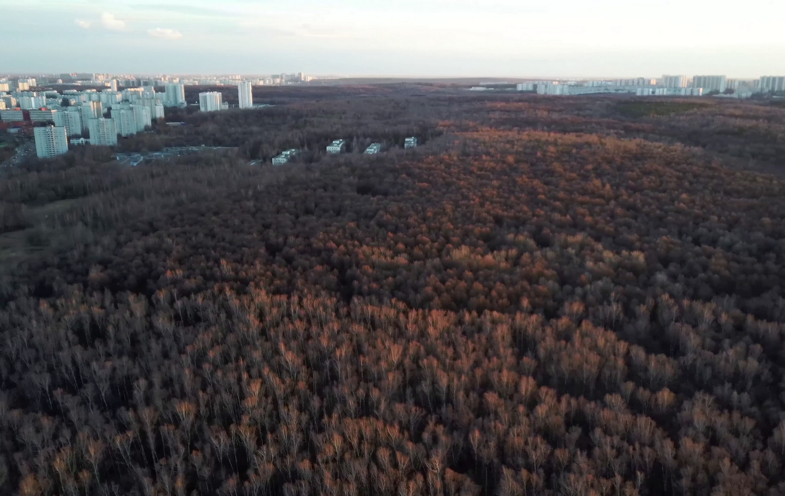Битцевский лес Москва вид сверху