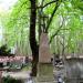 The grave of Tchórzewski family in Warsaw city