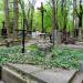 The grave of Marja Osmólska in Warsaw city