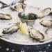 Hog Island Oyster Company in Napa, California city