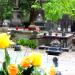 The grave of Teresa Krotke in Warsaw city