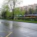 Газон в городе Москва