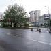 Газон в городе Москва