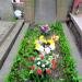 The grave of Franciszek Zakrzewski in Warsaw city