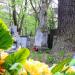 The grave of Irena Jakóbczyk in Warsaw city