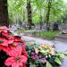 Quarter 289 in Warsaw city