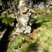 Anonymous grave in Warsaw city