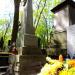 The grave of Edward Koster in Warsaw city