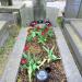 The grave of Franciszek Józef Zagajewski in Warsaw city