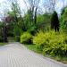Park Litewski in Serock city