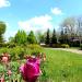 Park w Serocku in Serock city
