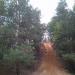 Обрыв в городе Лыткарино
