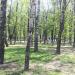 Сквер им. Пушкина в городе Дзержинский