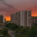 Новокосинская ул., 39 в городе Москва