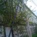 Вокзальная ул., 1 в городе Истра