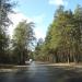 Просека воздушной линии 6 кВ в городе Тверь