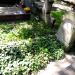 The grave of Jan Kostecki in Warsaw city