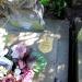 The grave of Aleksander Lippa in Warsaw city