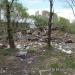 Развалины жилого дома — просп. 60 лет Октября, 146 в городе Хабаровск