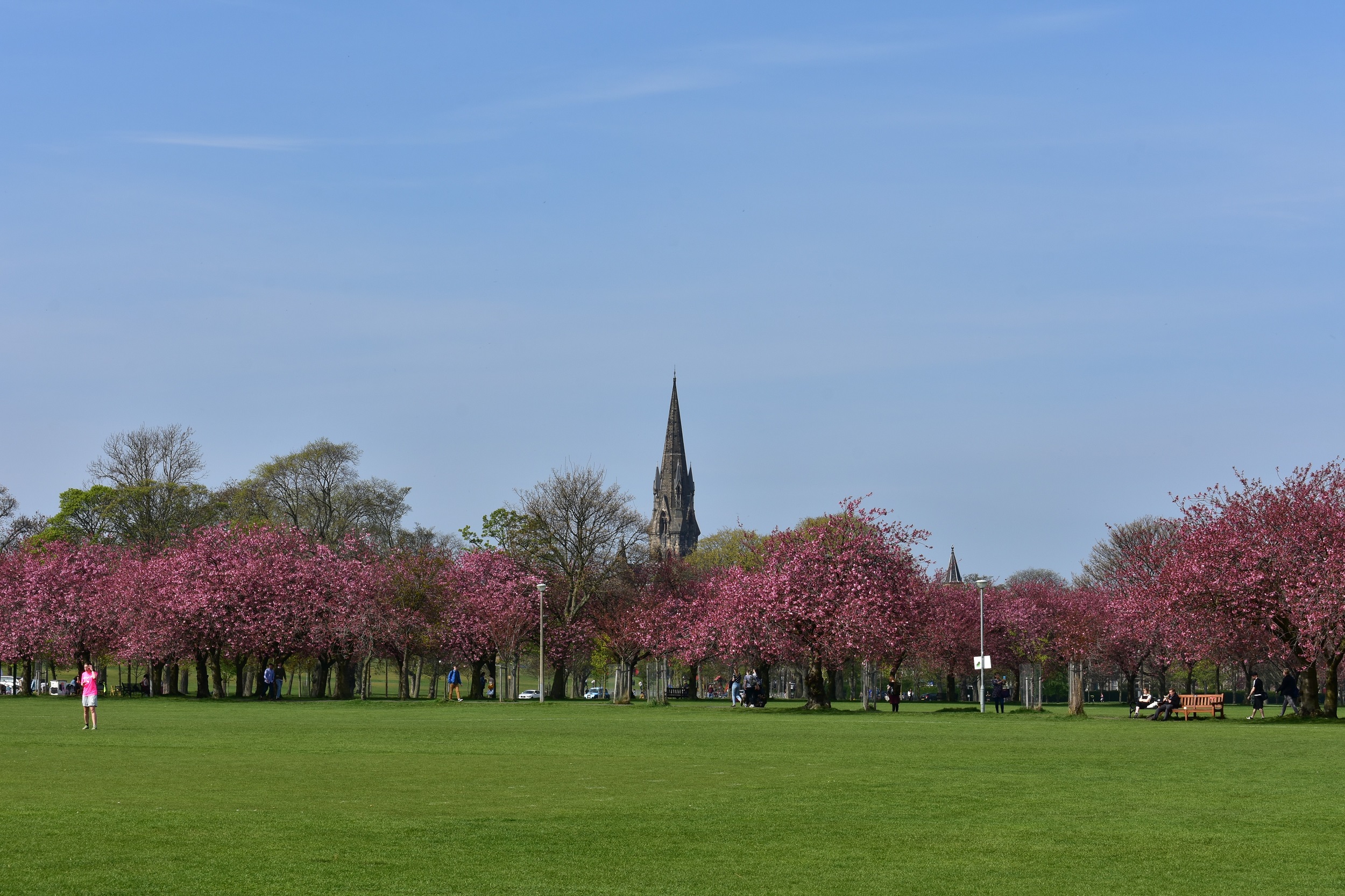 The Meadows Edinburgh