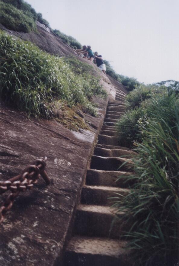 Escadaria Do Pico Da Tijuca Rio De Janeiro