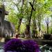 Anonymous grave in Warsaw city