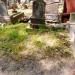 The grave of Romanowski family in Warsaw city