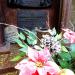 The grave of  Kukawski family in Warsaw city