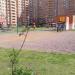 Спортивная площадка в городе Дзержинский