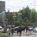 Торговый комплекс в городе Дзержинский