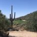 The Golf Club at Dove Mountain