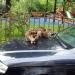 Детская игровая площадка в городе Москва