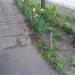 Квiтник (uk) в городе Запорожье