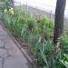 Квiтник (uk) в городе Запорожье