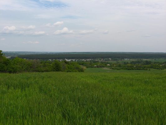 Ternova