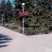 Клумба в городе Запорожье