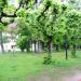 Park południowy in Sopot city