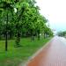 Park południowy in Sopot city