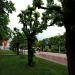 Park południowy in Sopot city
